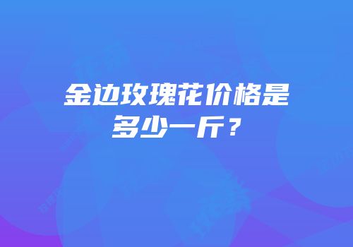 金边玫瑰花价格是多少一斤？