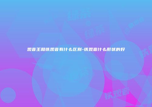 观音王和铁观音有什么区别-铁观音什么形状的好