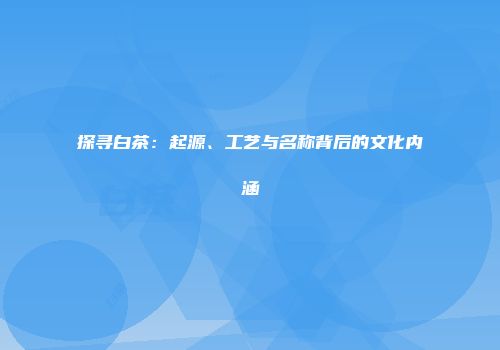 探寻白茶：起源、工艺与名称背后的文化内涵