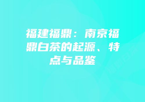 福建福鼎：南京福鼎白茶的起源、特点与品鉴