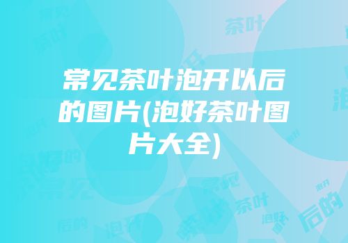 常见茶叶泡开以后的图片(泡好茶叶图片大全)