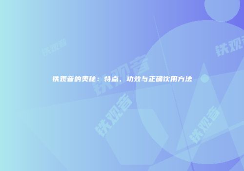 铁观音的奥秘：特点、功效与正确饮用方法