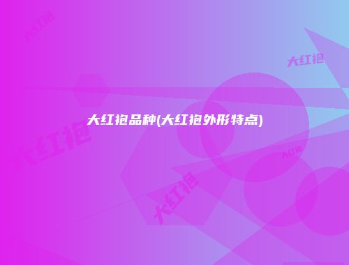 大红袍品种(大红袍外形特点)