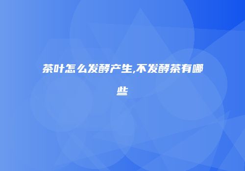 茶叶怎么发酵产生,不发酵茶有哪些