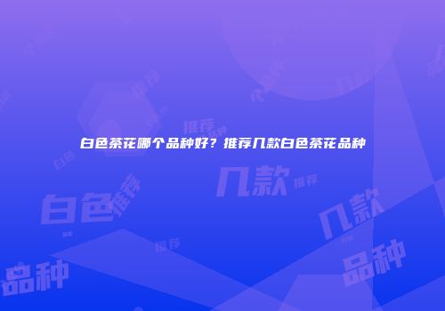 白色茶花哪个品种好？推荐几款白色茶花品种