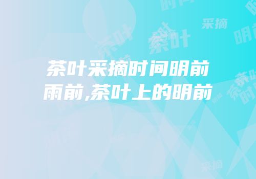 茶叶采摘时间明前雨前,茶叶上的明前