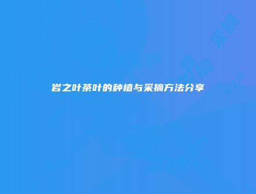 岩之叶茶叶的种植与采摘方法分享