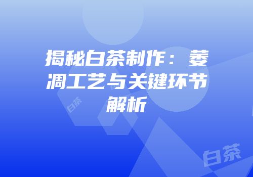 揭秘白茶制作：萎凋工艺与关键环节解析
