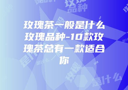 玫瑰茶一般是什么玫瑰品种-10款玫瑰茶总有一款适合你