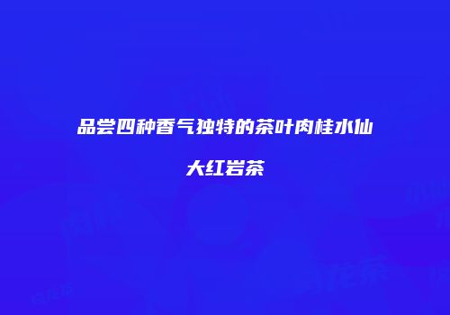 品尝四种香气独特的茶叶肉桂水仙大红岩茶