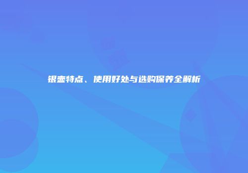 银壶特点、使用好处与选购保养全解析