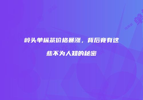岭头单枞茶价格暴涨，背后竟有这些不为人知的秘密