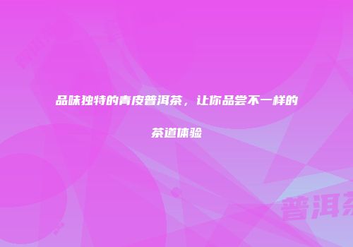 品味独特的青皮普洱茶，让你品尝不一样的茶道体验