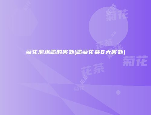 菊花泡水喝的害处(喝菊花茶6大害处)
