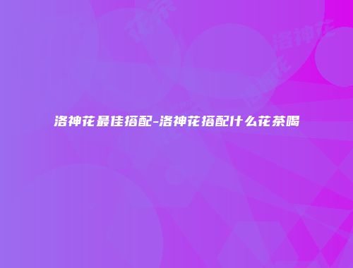 洛神花最佳搭配-洛神花搭配什么花茶喝