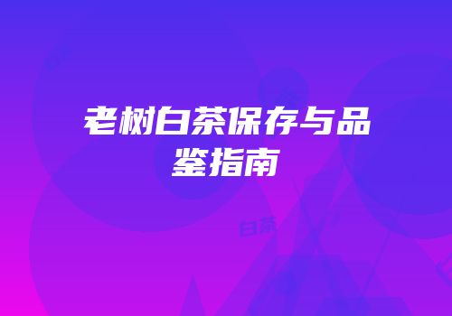 老树白茶保存与品鉴指南
