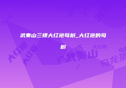 武夷山三棵大红袍母树_大红袍的母树