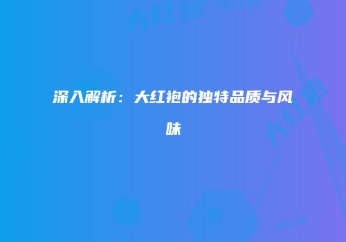 深入解析：大红袍的独特品质与风味