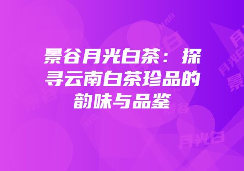 景谷月光白茶：探寻云南白茶珍品的韵味与品鉴