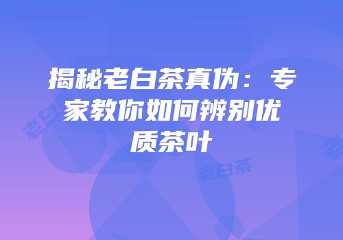 揭秘老白茶真伪：专家教你如何辨别优质茶叶
