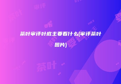 茶叶审评叶底主要看什么(审评茶叶图片)