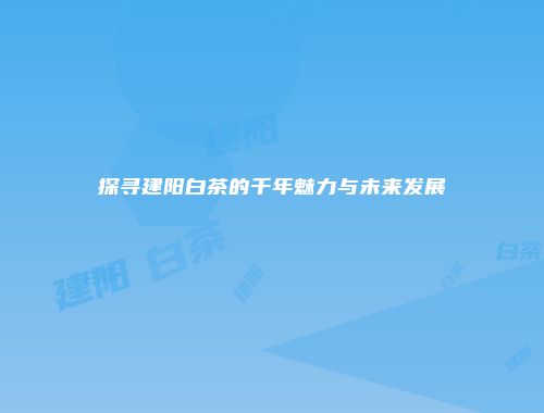 探寻建阳白茶的千年魅力与未来发展