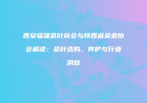 西安福建茶叶商会与陕西省茶业协会解读：茶叶选购、养护与行业洞察