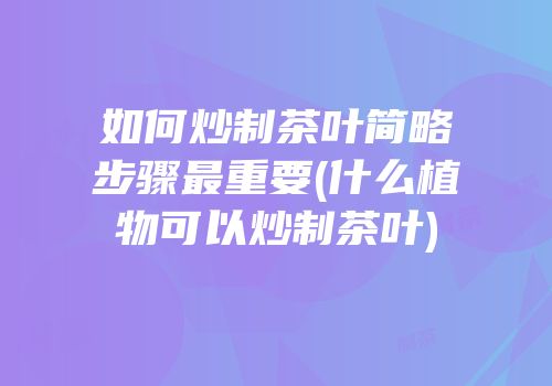 如何炒制茶叶简略步骤最重要(什么植物可以炒制茶叶)