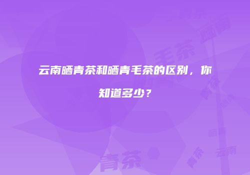 云南晒青茶和晒青毛茶的区别，你知道多少？