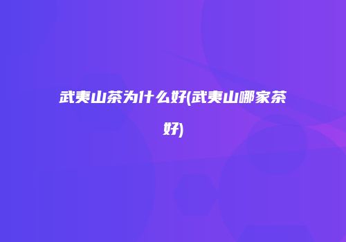武夷山茶为什么好(武夷山哪家茶好)