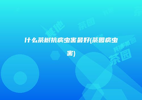 什么茶树抗病虫害最好(茶园病虫害)