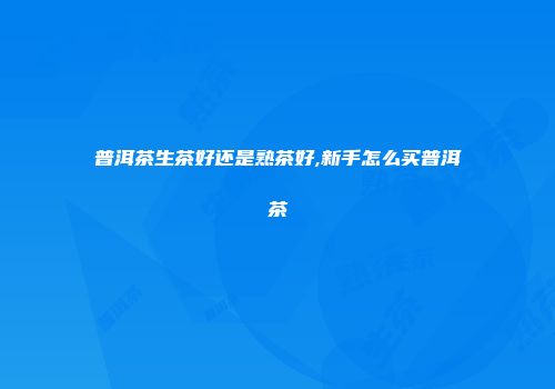 普洱茶生茶好还是熟茶好,新手怎么买普洱茶