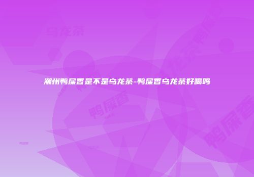 潮州鸭屎香是不是乌龙茶-鸭屎香乌龙茶好喝吗