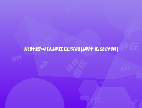 茶叶树可以种在庭院吗(种什么茶叶树)