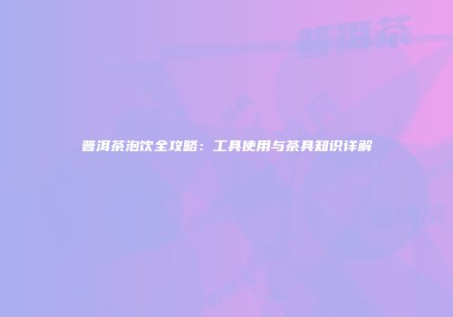 普洱茶泡饮全攻略：工具使用与茶具知识详解