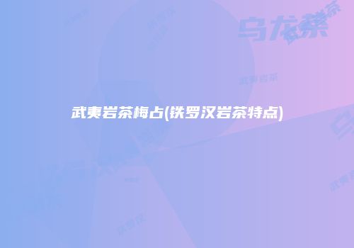 武夷岩茶梅占(铁罗汉岩茶特点)
