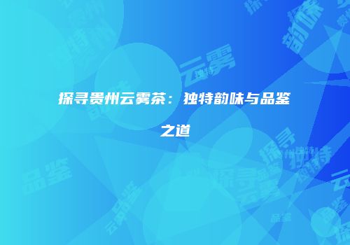 探寻贵州云雾茶：独特韵味与品鉴之道