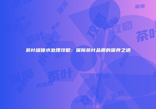 茶叶罐碰水处理攻略：保障茶叶品质的保养之道