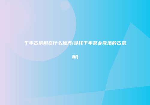 千年古茶树在什么地方(寻找千年茶乡散落的古茶树)