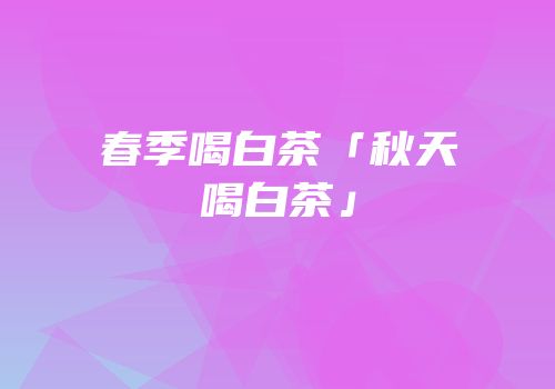 春季喝白茶「秋天喝白茶」