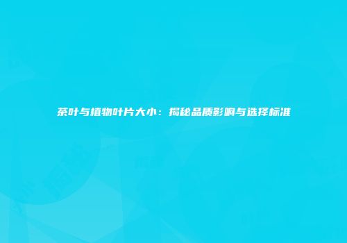茶叶与植物叶片大小：揭秘品质影响与选择标准