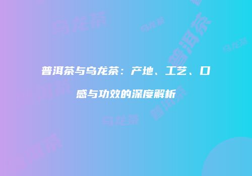普洱茶与乌龙茶：产地、工艺、口感与功效的深度解析