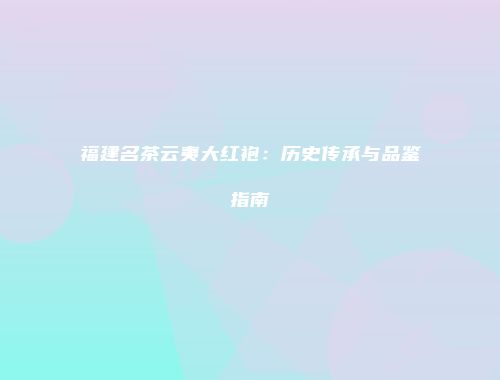 福建名茶云夷大红袍：历史传承与品鉴指南