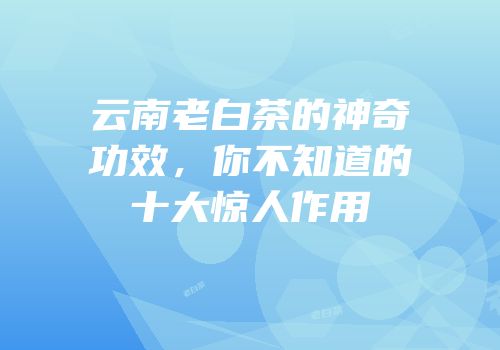云南老白茶的神奇功效，你不知道的十大惊人作用