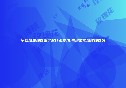 牛奶加玫瑰花喝了起什么作用,普洱茶能加玫瑰花吗