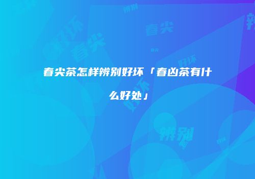春尖茶怎样辨别好坏「春凶茶有什么好处」