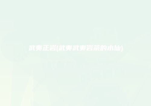 武夷正岩(武夷武夷岩茶的水仙)