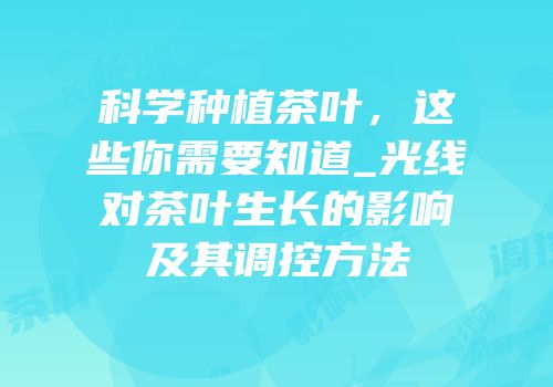科学种植茶叶，这些你需要知道_光线对茶叶生长的影响及其调控方法