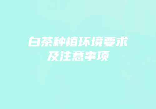 白茶种植环境要求及注意事项