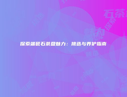 探索端砚石茶盘魅力：挑选与养护指南